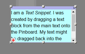 Text Snippet