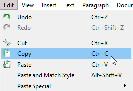 Edit menu copy command