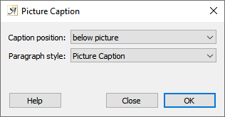 Picture caption dialog